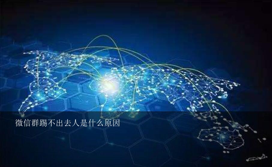 微信群踢不出去人是什么原因？微信群里面有一个人说话，我想给她踢出去，可是群成员里找不到这个人。